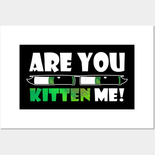 are you kitten me Posters and Art